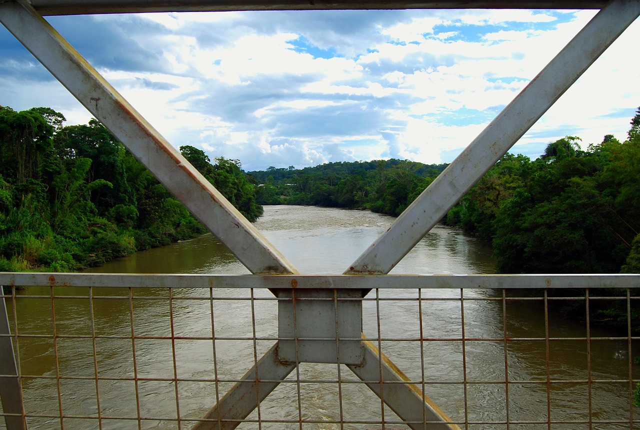 amazon bridge river free photo