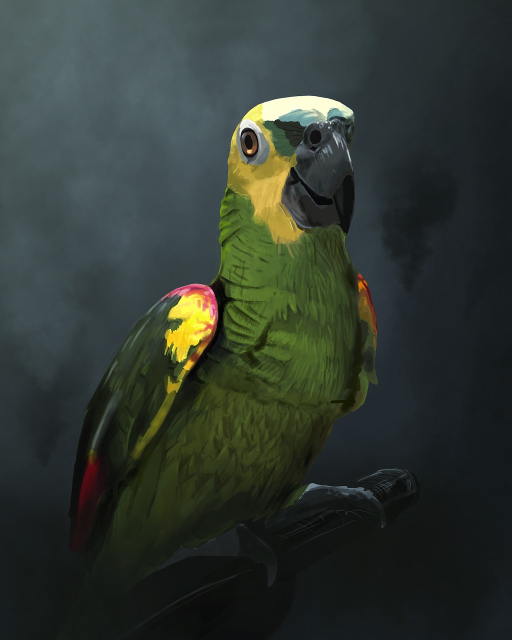 amazon parrot  bird  portrait free photo