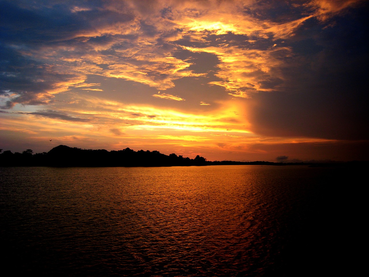 amazonas sunset amazon river free photo