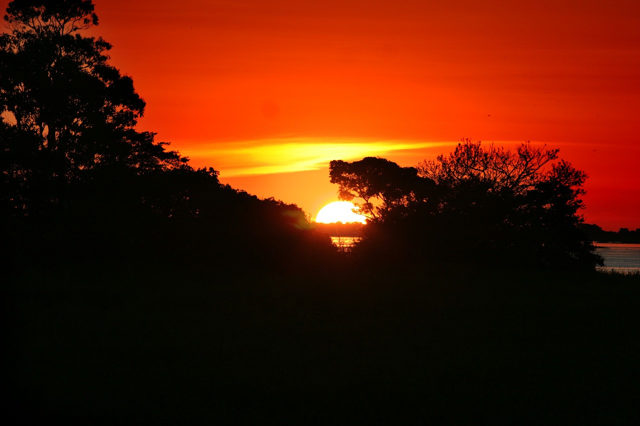 amazonia sunset amazon river free photo