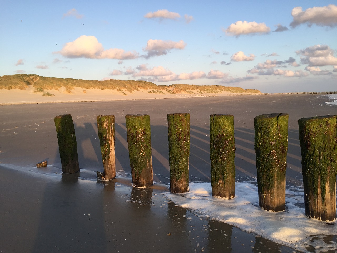 ameland beach holiday free photo