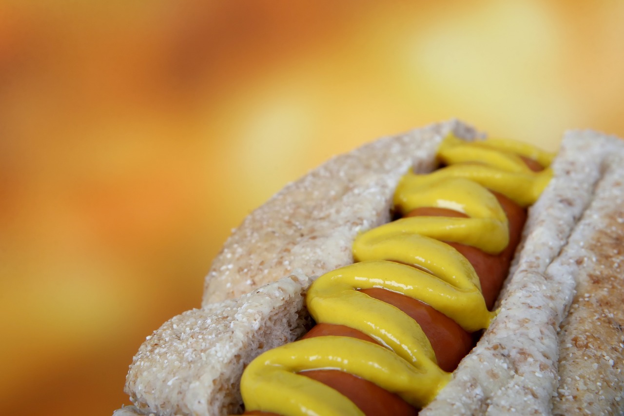 hot dog bbq american free photo