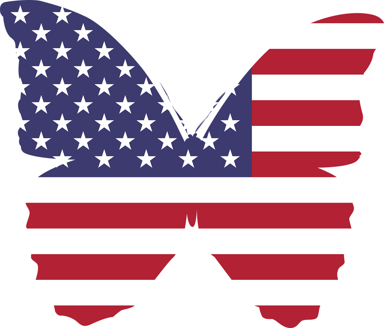 america butterfly flag free photo