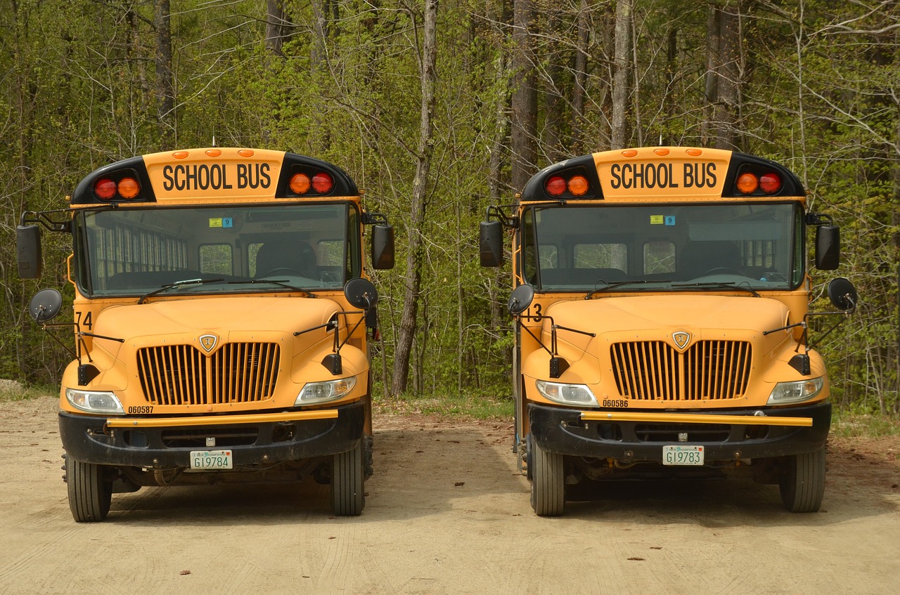 america bus schoolbus free photo