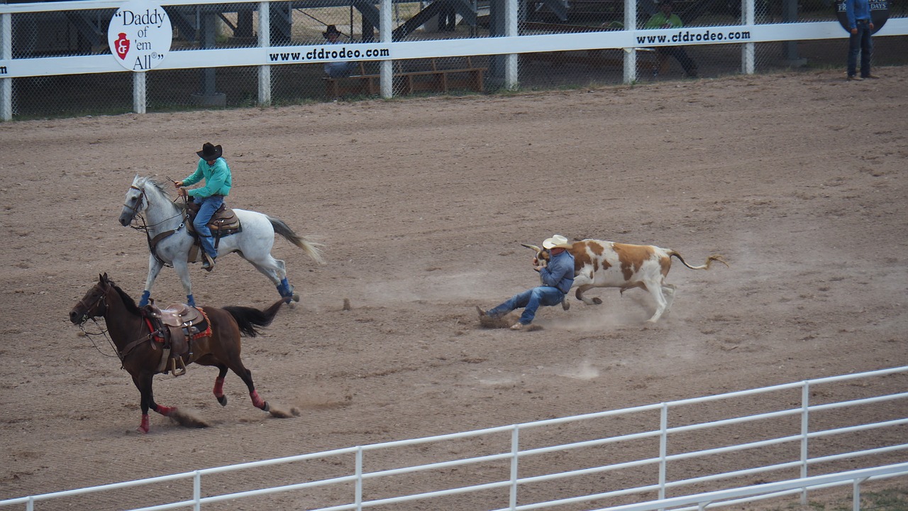 america cowboy horses free photo