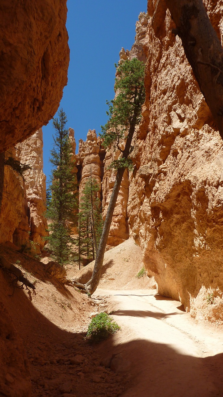 america bryce national park rock formation free photo