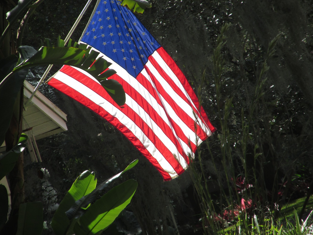 american flag usa free photo