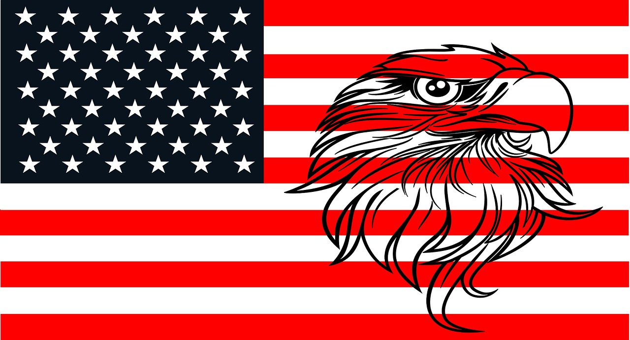 american flag eagle free photo