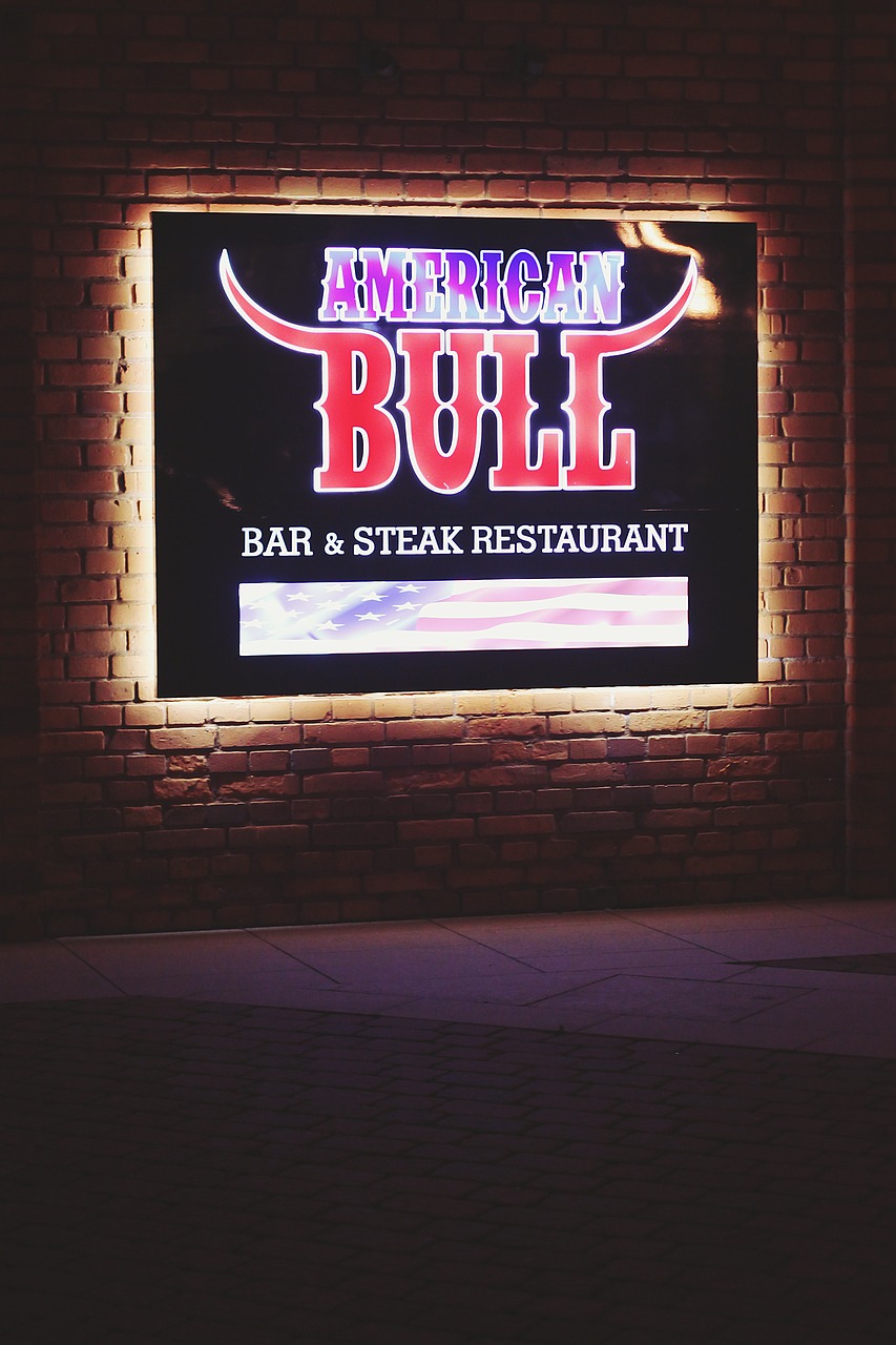 american bull bar free photo