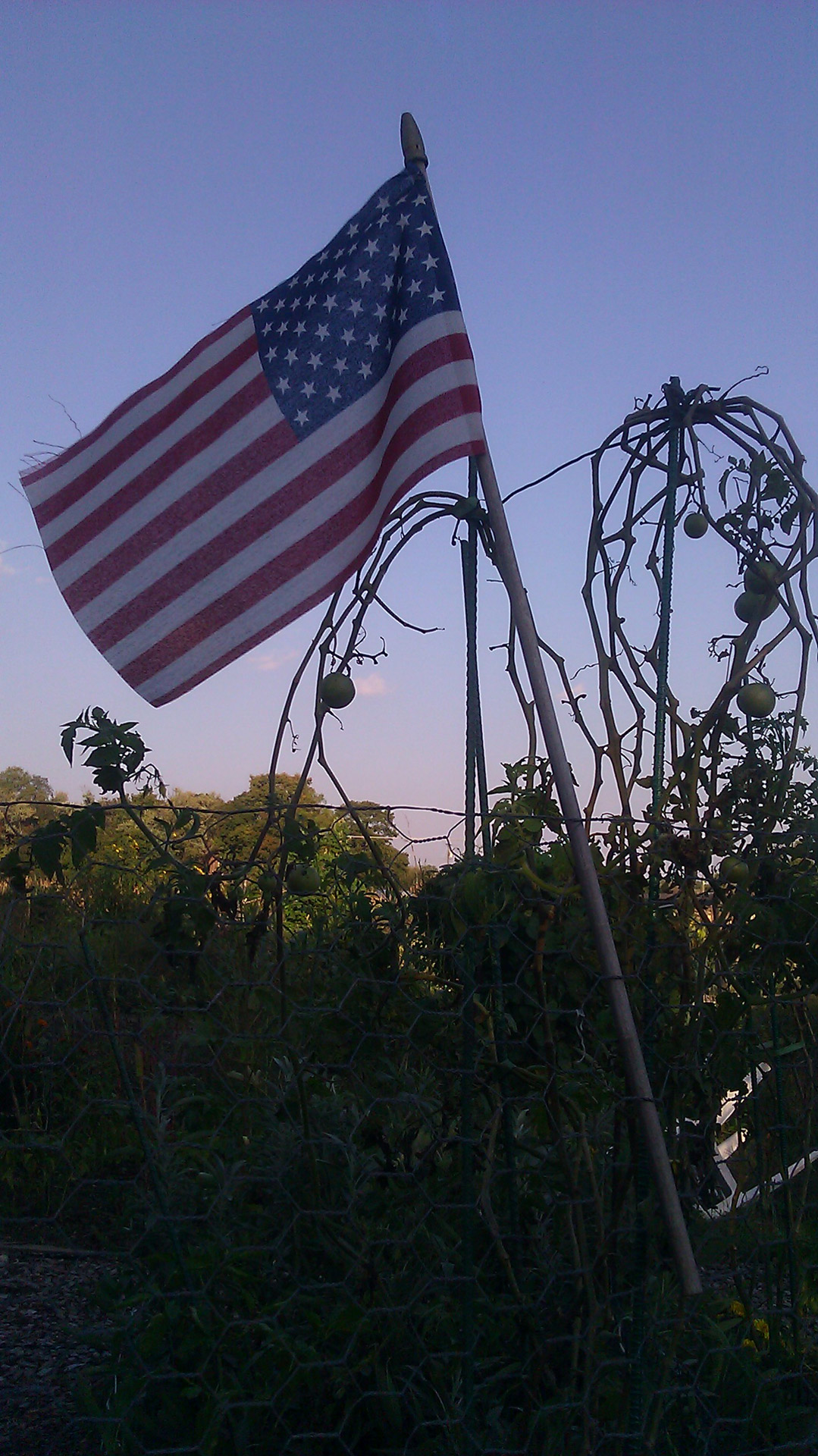 american flag garden sky free photo