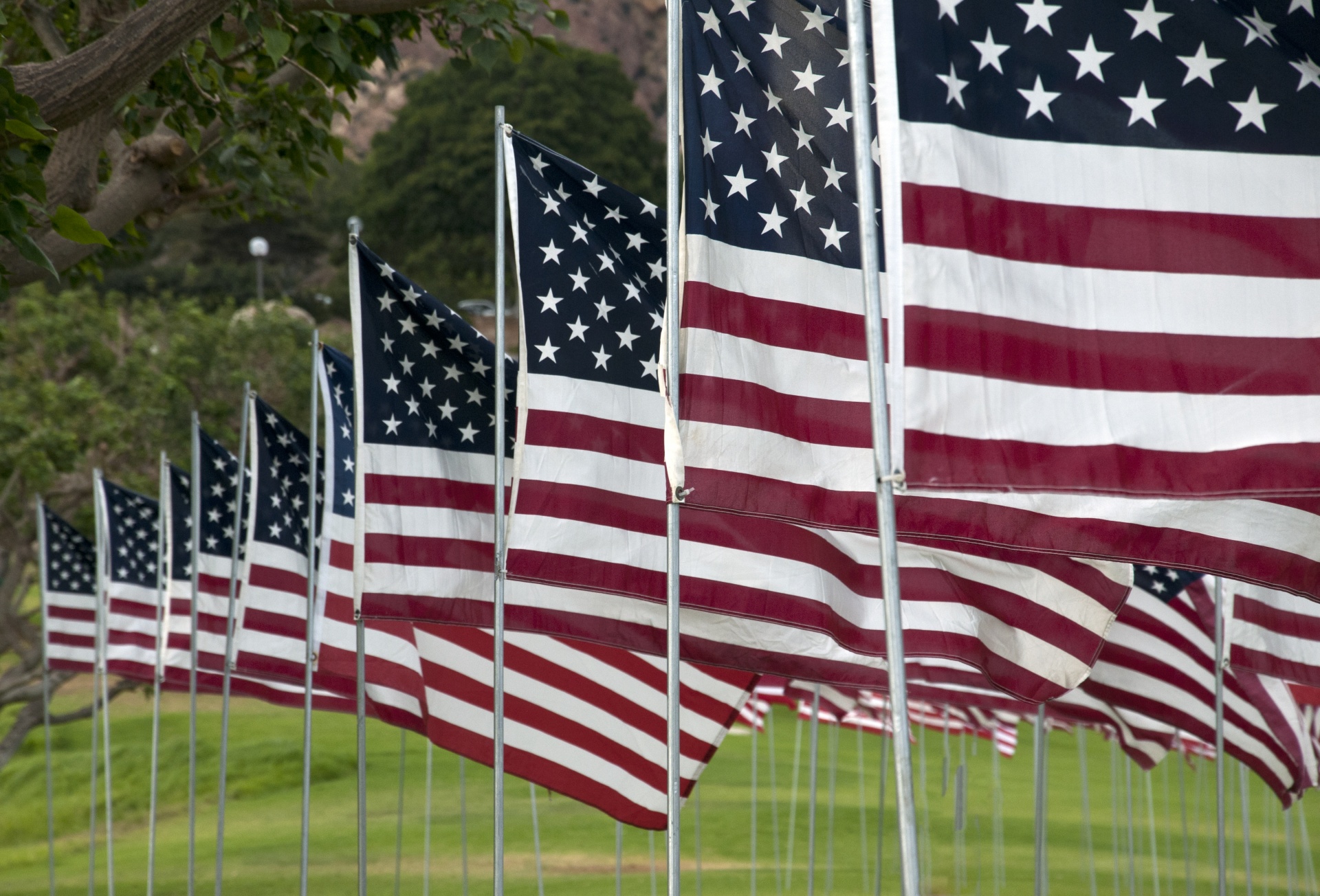 american flags flags usa free photo