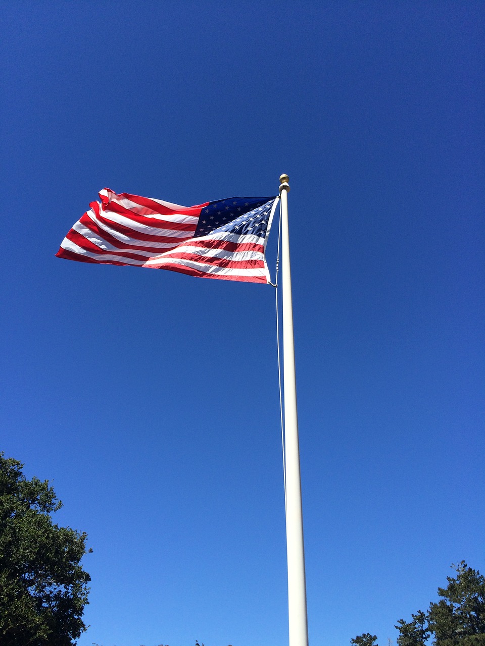 american flag usa symbol free photo