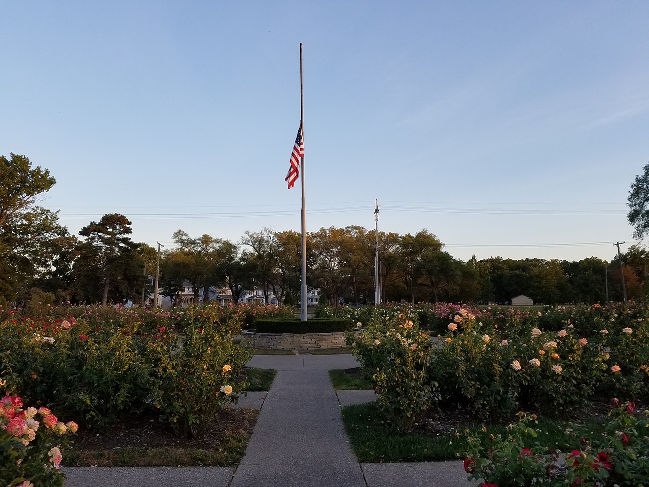 american flag rose garden free photo