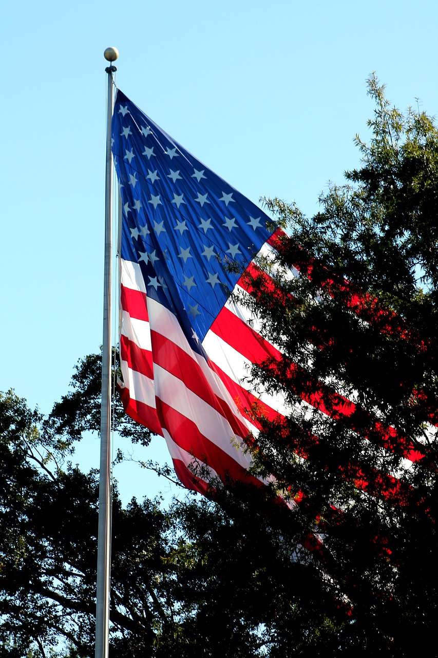 american flag flag patriotic free photo