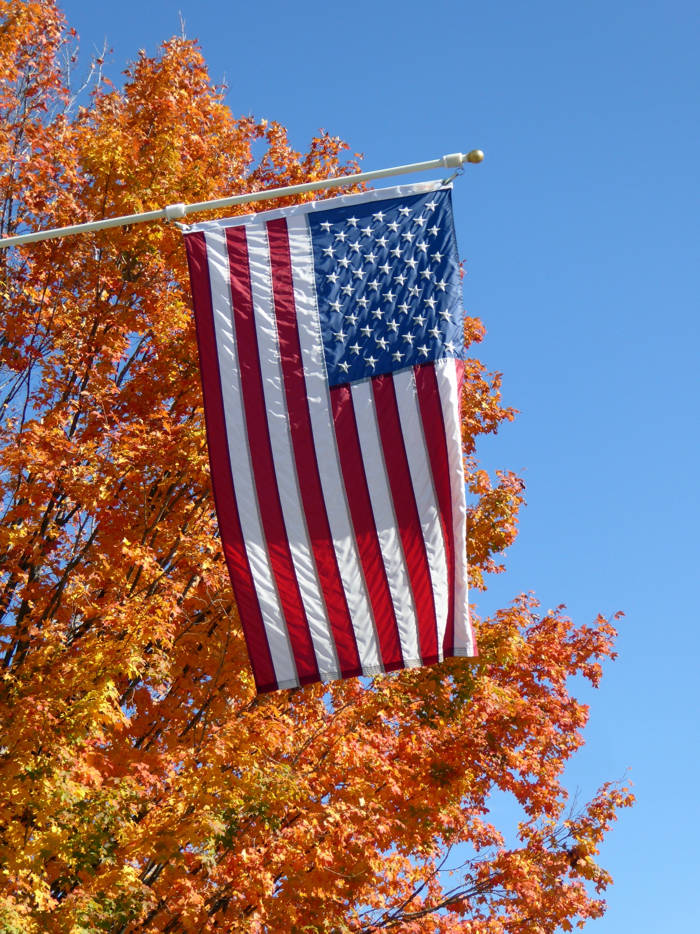 american flag flag autumn free photo