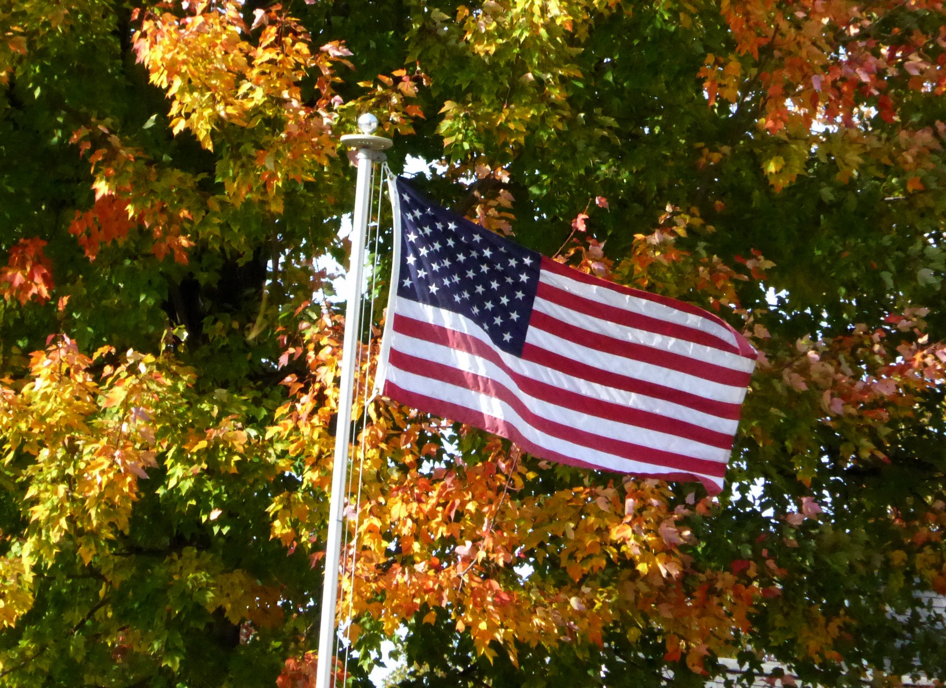 american americana american flag free photo