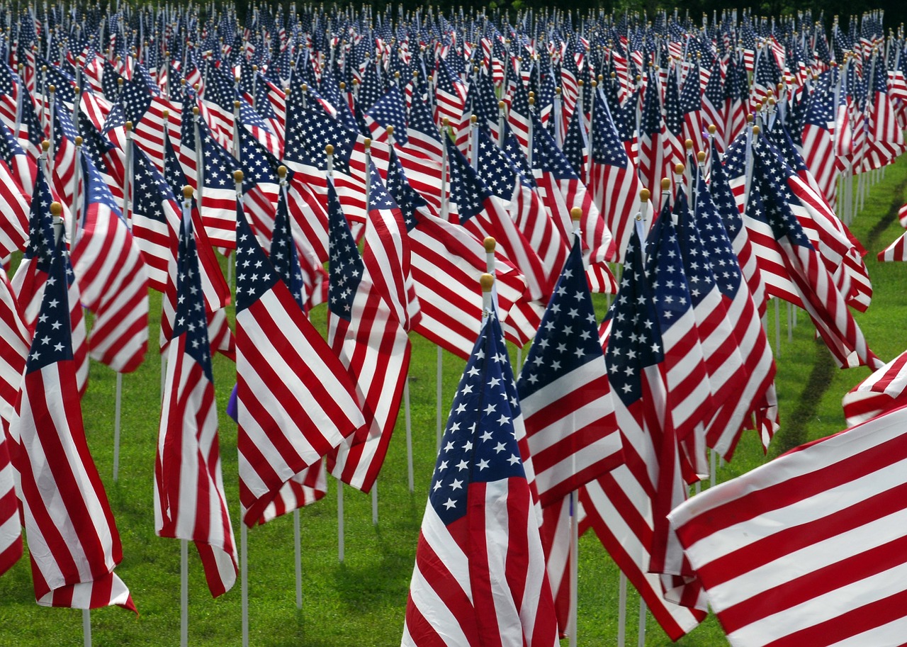 american flags cemetery graves free photo