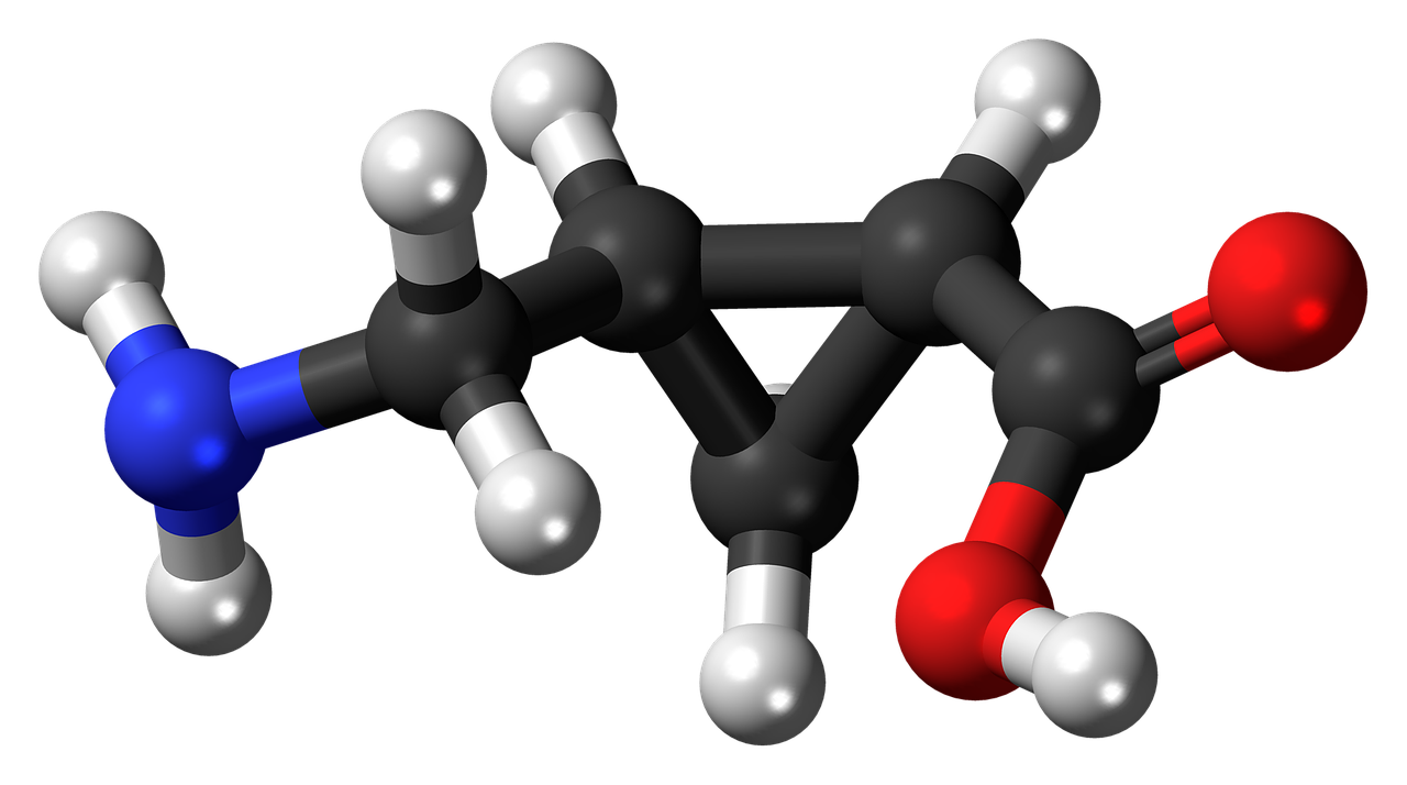 aminomethylcyclopropane cis model free photo