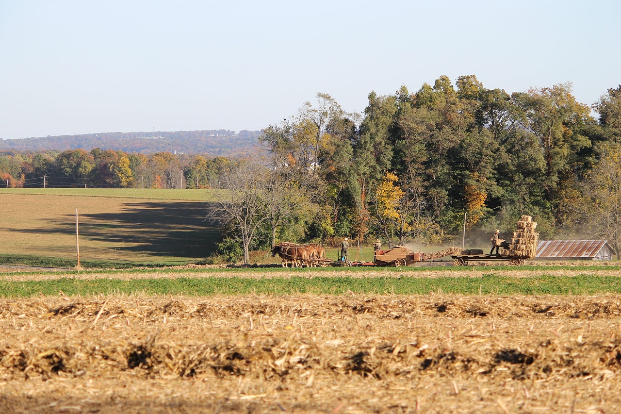 amish pennsylvania farm free photo