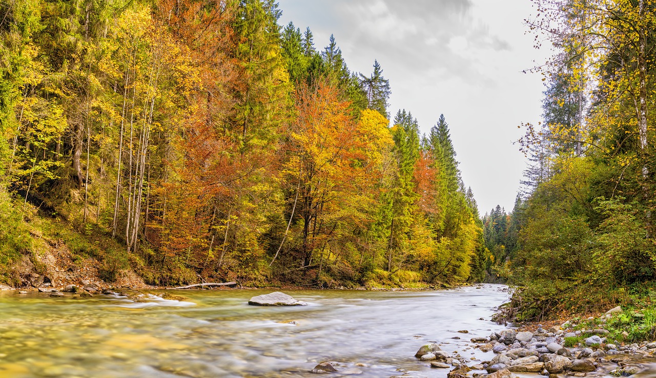 ammer river autumn free photo