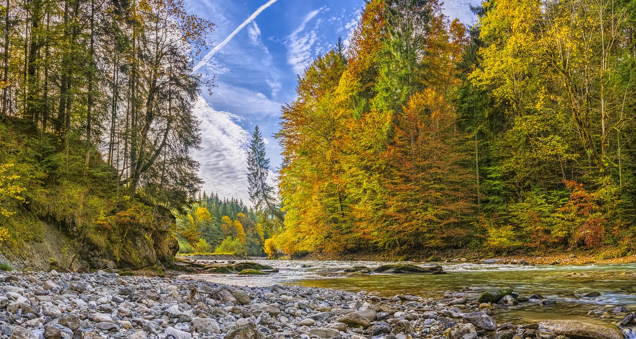 ammer autumn river free photo