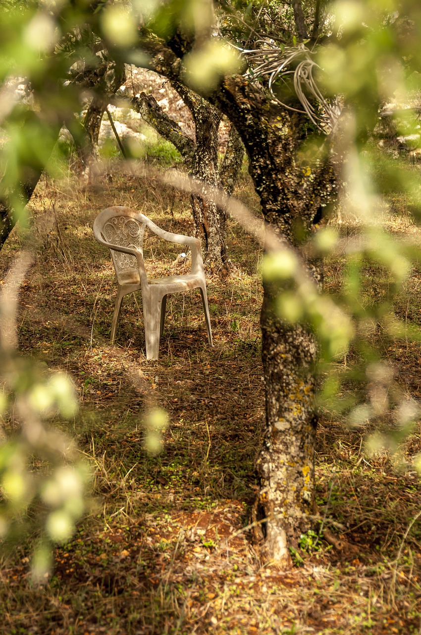 chair garden nature free photo