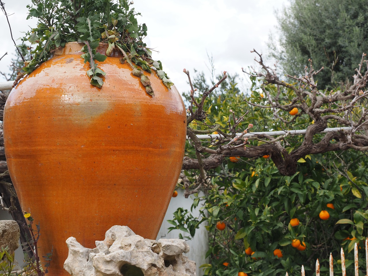 amphora decoration flower stand free photo