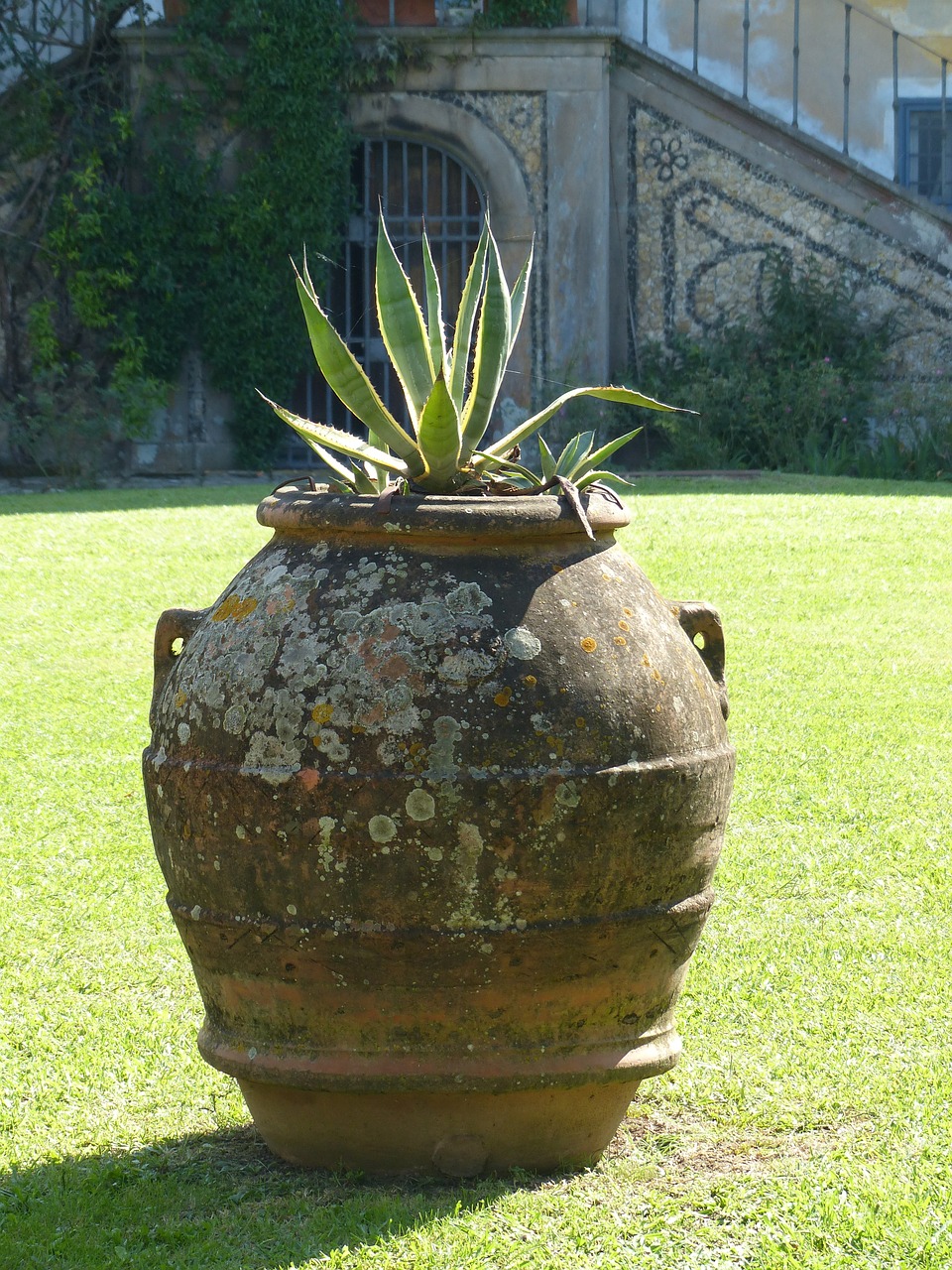 amphora italy vase free photo