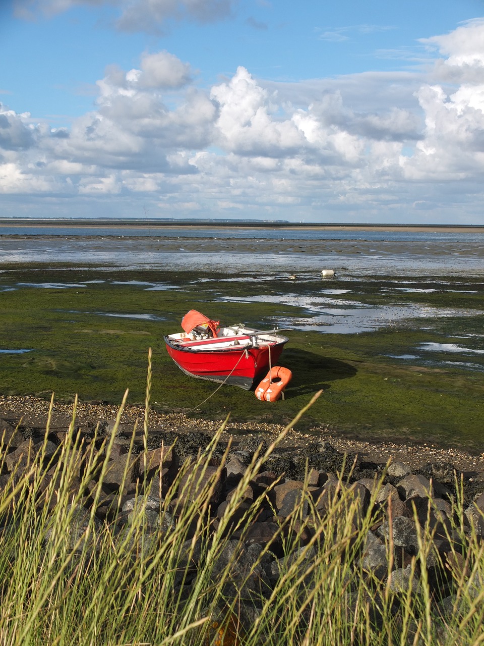 amrum ebb sea free photo