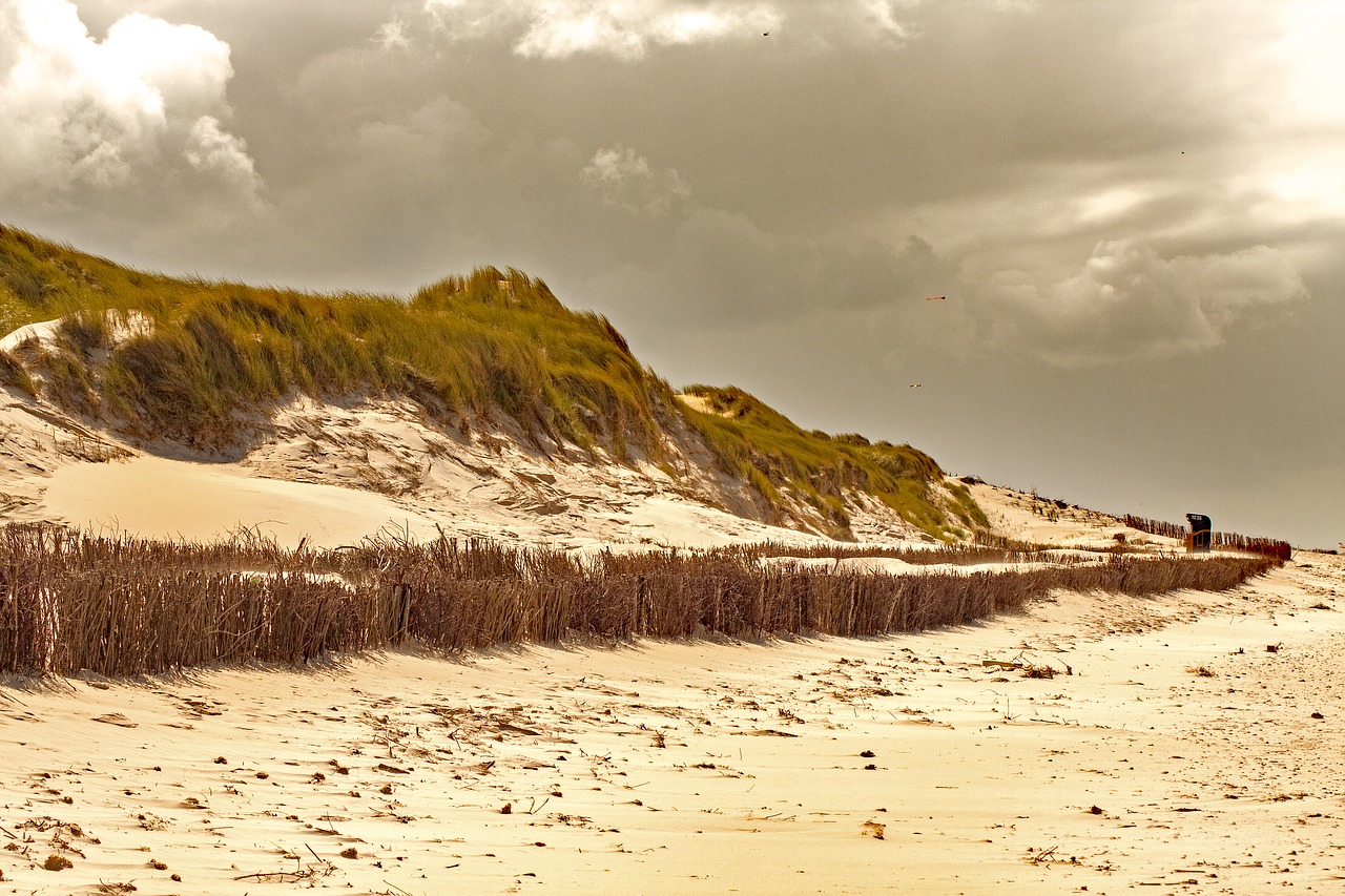 amrum dune beach free photo