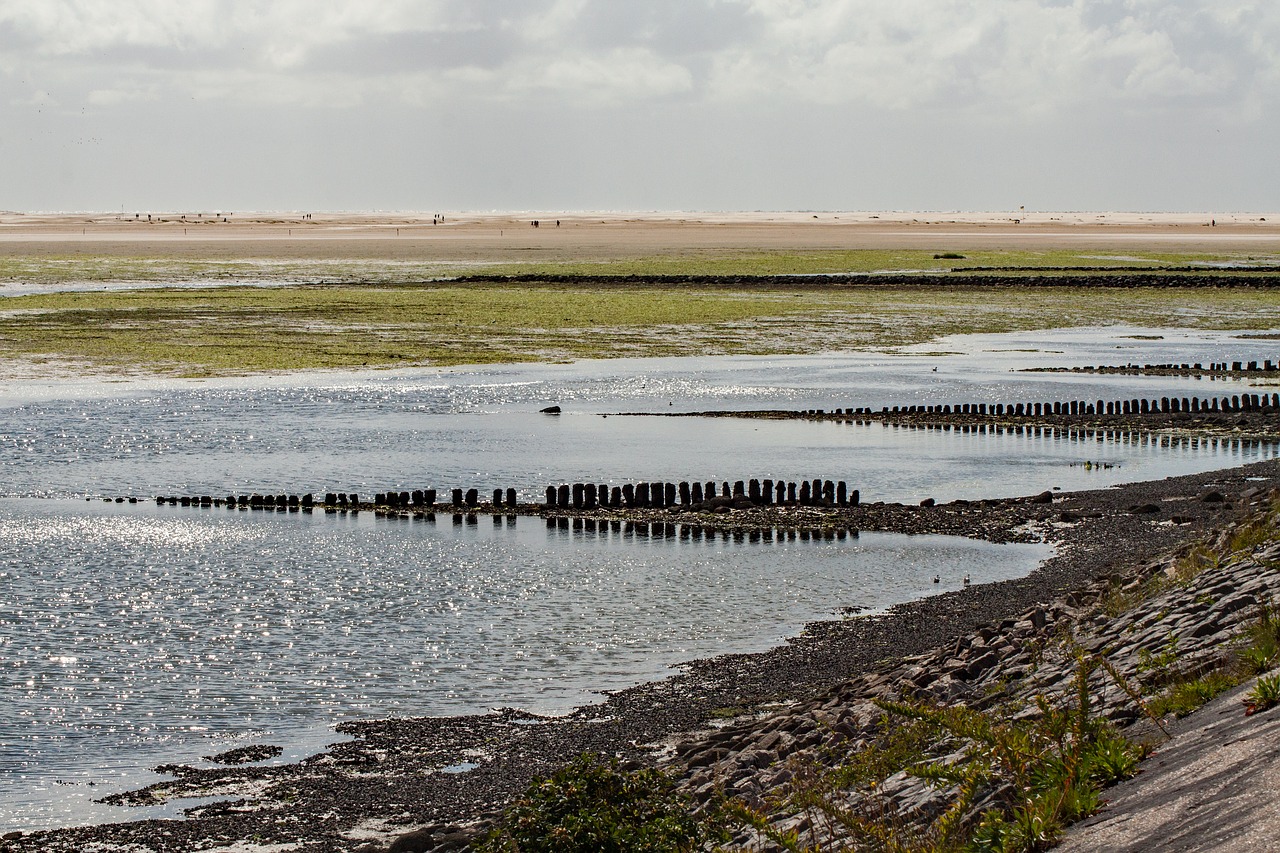 amrum island north sea free photo