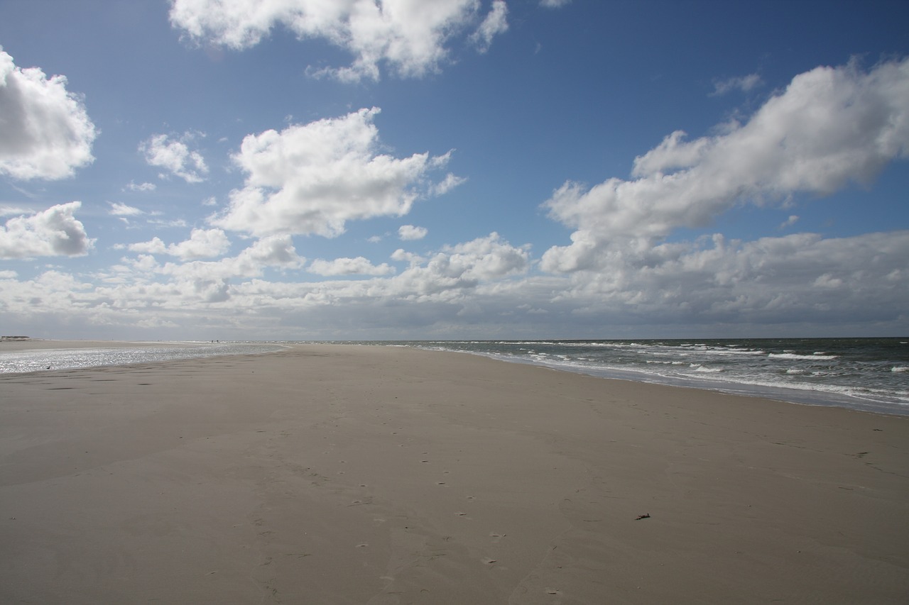 amrum island north sea free photo