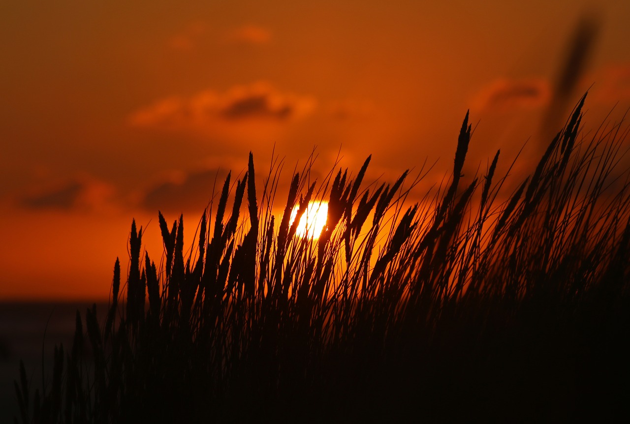 amrum  sun  sunset free photo