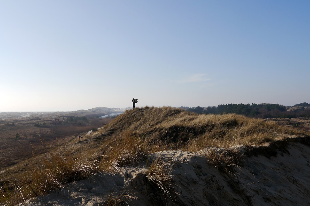 amrum  island  nordfriesland free photo