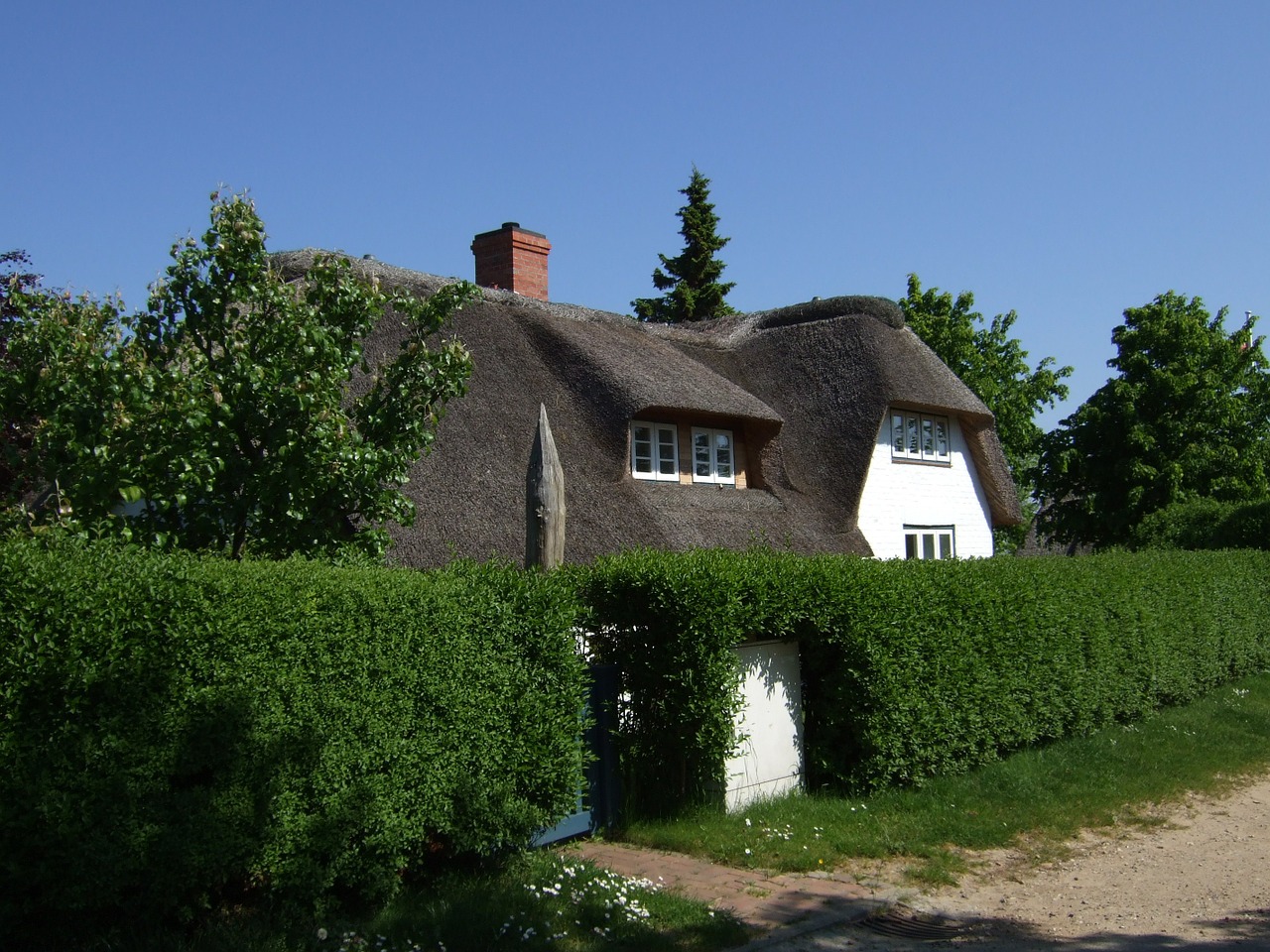 amrum thatched roof home free photo