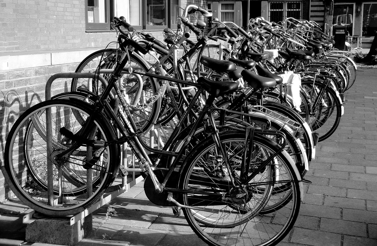 amsterdam bicycles school free photo