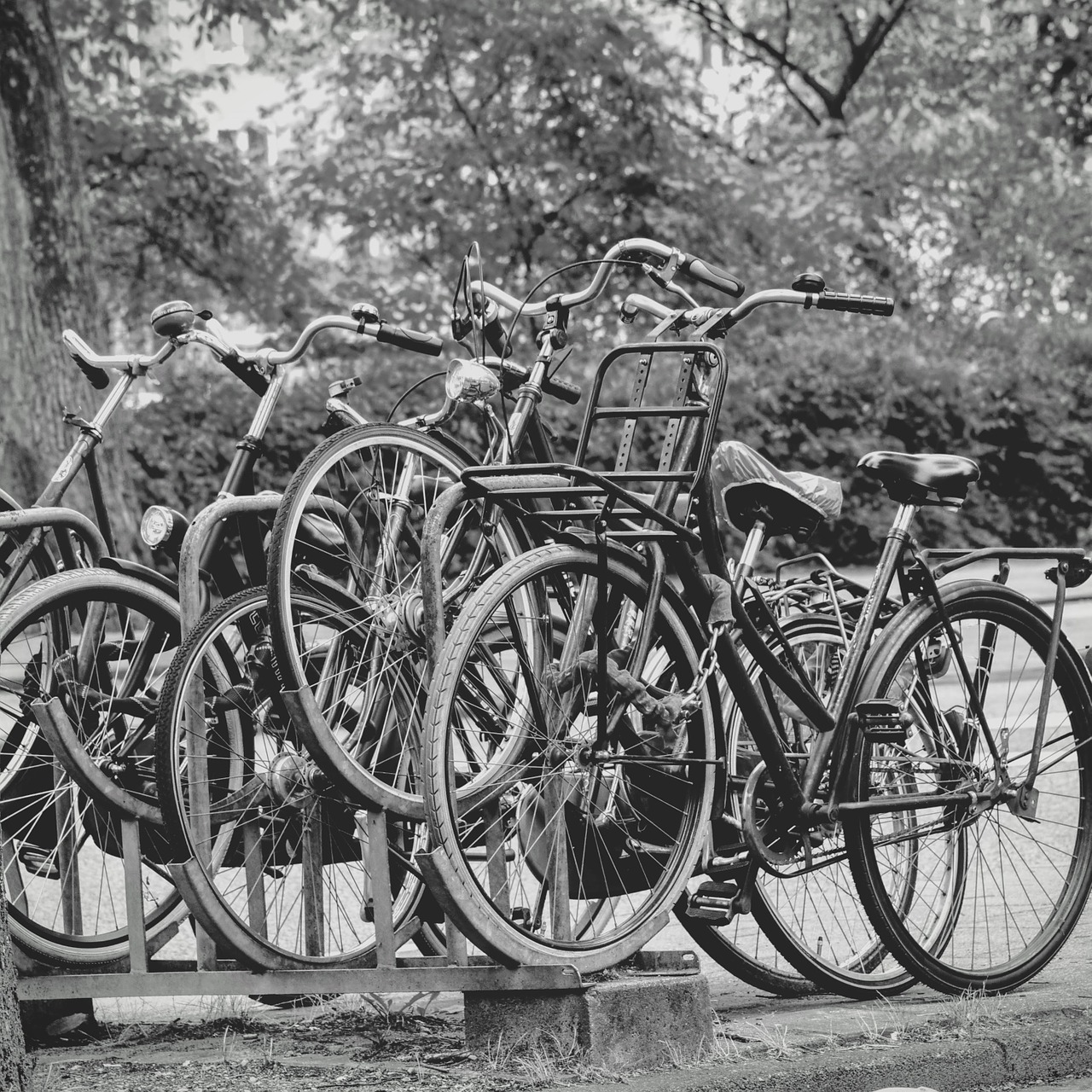 amsterdam bicycles black and white free photo