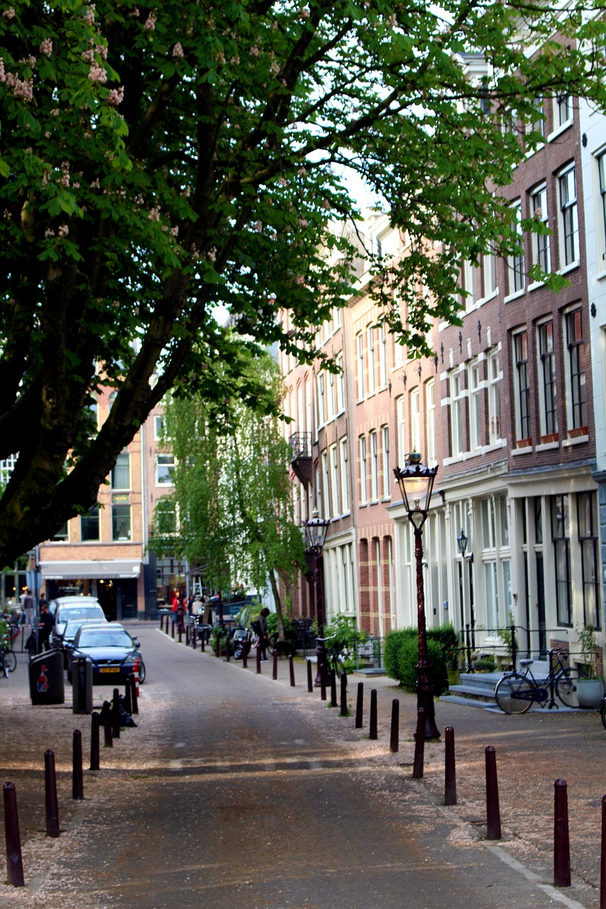 amsterdam road netherlands free photo