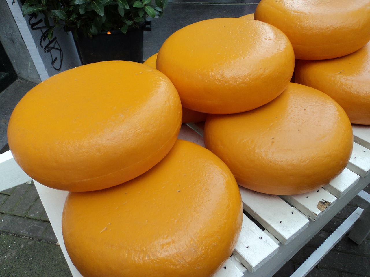 amsterdam cheese netherlands free photo