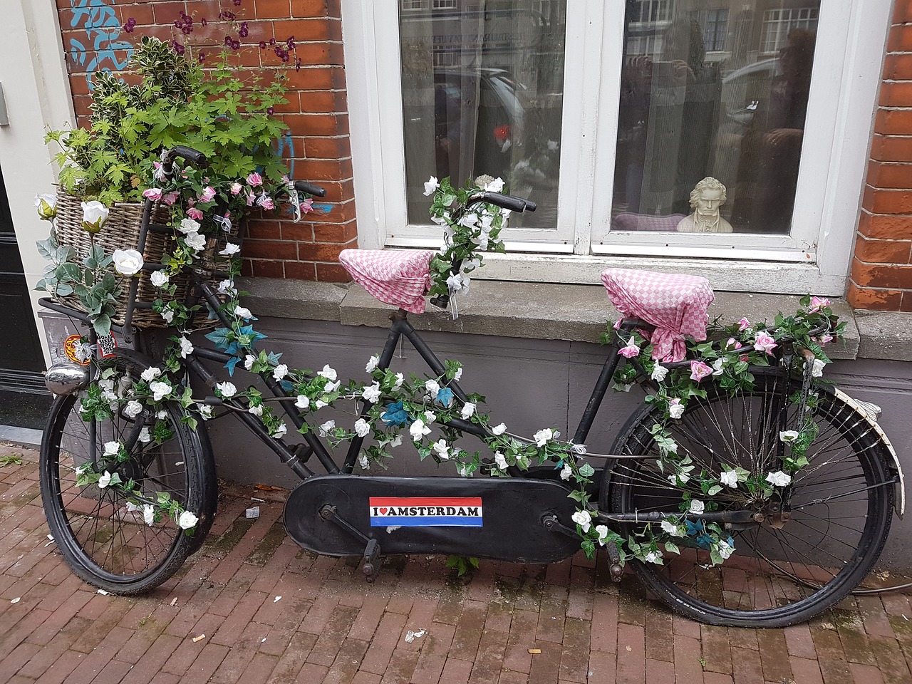 amsterdam flowers bicycle free photo