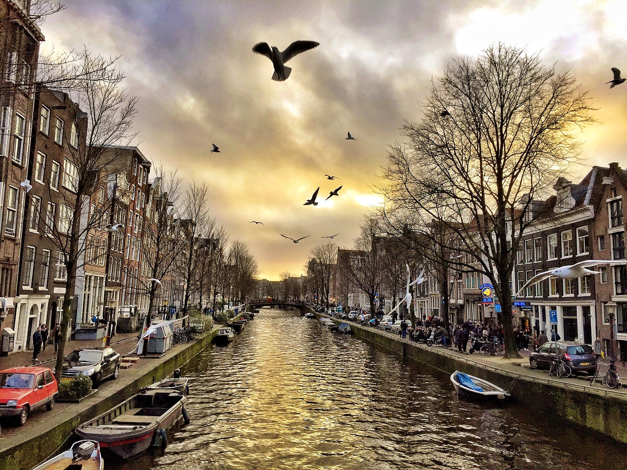 amsterdam city tour free photo