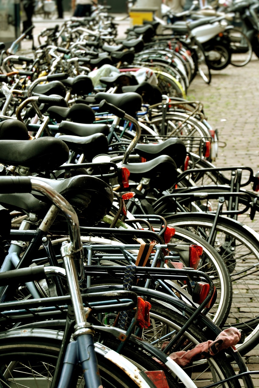 amsterdam bicicletes saddle free photo