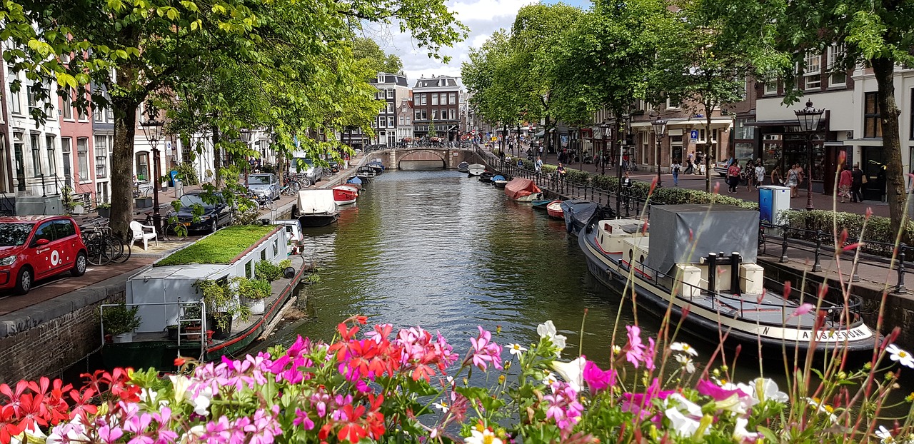 amsterdam  netherlands  flowers free photo