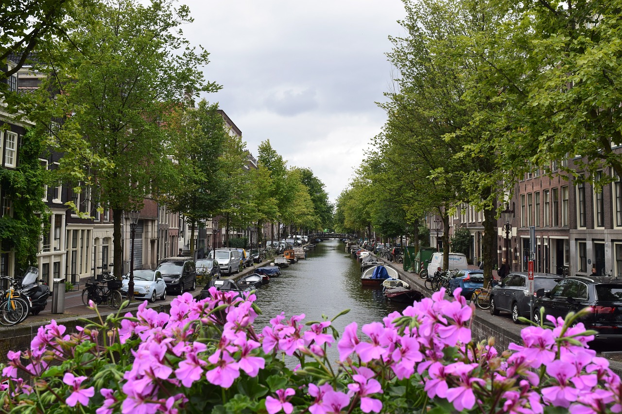 amsterdam  netherlands  holland free photo