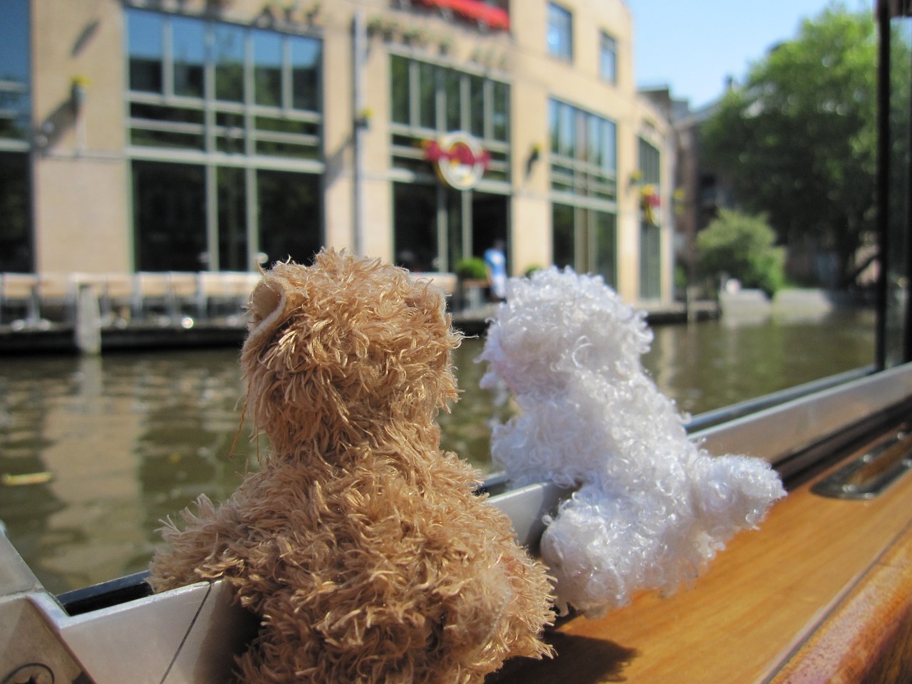 amsterdam teddy bears boat free photo