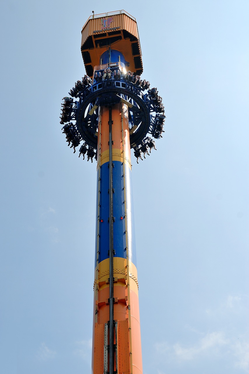 amusement park ride people free photo