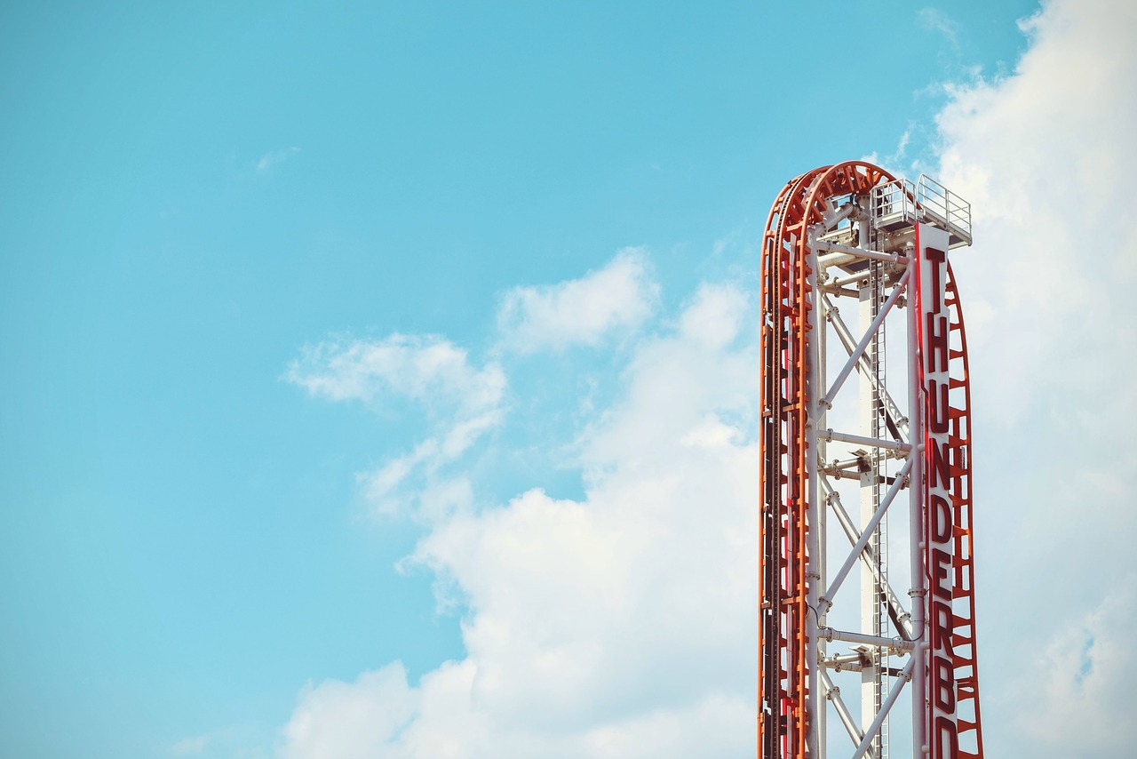 amusement park roller coaster fun free photo