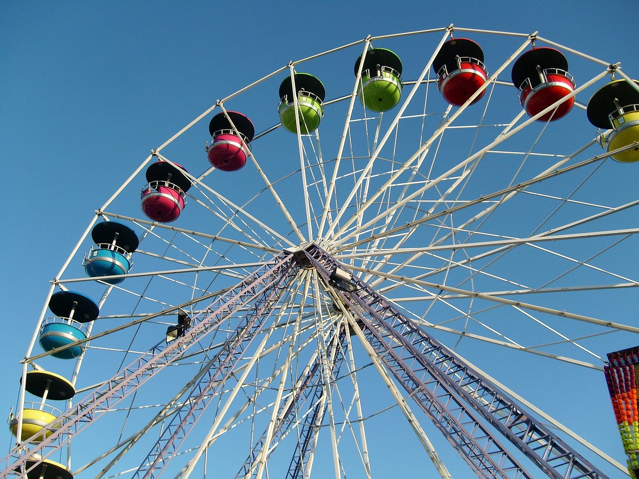 amusement park ferris wheel holidays free photo