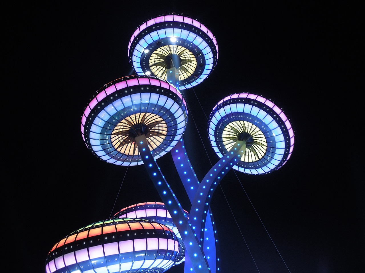 amusement park night lighting free photo