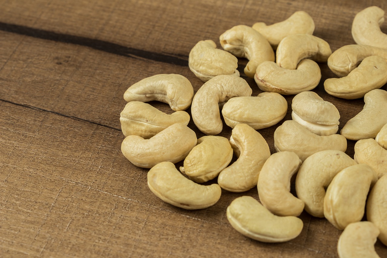 anacardium  cashew  cashew nuts free photo